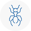 Ant Removals In Charlton