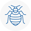 Bed Bug Extermination In Charlton