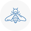 Bee Nest Removal Charlton