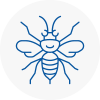 Charlton Hornet Nest Removals