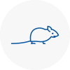 Mice Exterminators In Charlton