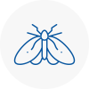 Moth Control Specialists In Charlton