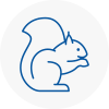 Charlton Rodent Removals